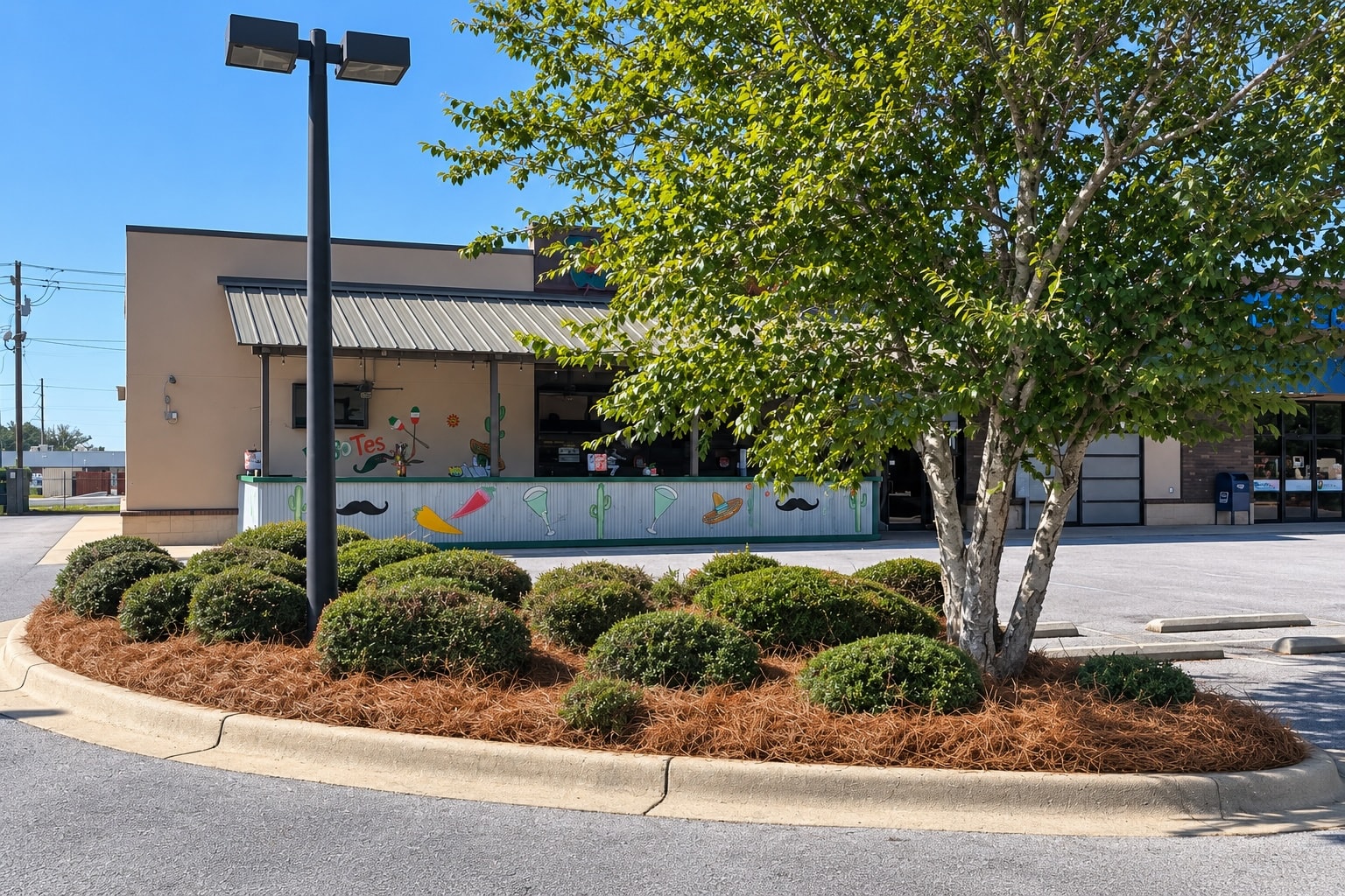Commercial property pine straw installation